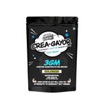 Gayor Essentials creatine Crea Gayor Creatine Monohydrate Micronized for better absorption Strength Enhancement Muscle Building muscle growth for men and women (UNFLAVOURED, 100g : 33 Servings)