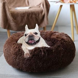 Puppy Beds