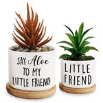 Msyueos Say Aloe to My Little Friend Planter Pot, Funny Plant Pots, Aloe Plant Pot, Succulent Pots with Tray Set of 2, Flower Pots No Plant, Indoor Pot Without Plants Office Home Windowsill Gifts