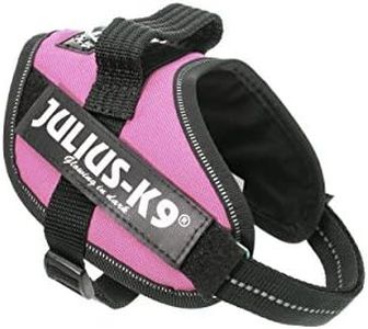 Julius-K9,