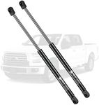 IAQWE Front Hood Lift Supports 4B-965360 Struts Hood Gas Spring Replacement for 2017-2022 Ford F-250, F-350, 2017-2018 Ford F-450, F-550, 669930, 2-PC