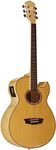 Wahsburn Festival Series EA20 Acous