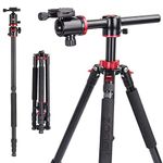 Zomei Camera Tripod Portable Magnesium Aluminium Monopod 4 Section Overhead Professional Tripod with Ball Head Quick Release Plate for Canon Nikon Sony DSLR Cameras DV Black