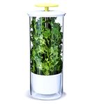 NOVART Premium Fresh Herb Keeper and Herb Storage Container – Glass Savor Preserver for Cilantro, Mint, Parsley, Asparagus, Keeps Greens Fresh for 2-3 Weeks – XXL Size