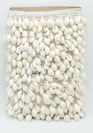 Swag Cowrie Kodi Latkan Lace Sippi Lace for Use for Dress, Saree, Lehenga, Dupatta, Bag, Craft (2 Meter, White)