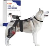 Dog Knee Brace for Torn ACL Hind Le