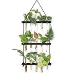 Mkono Plant Propagation Tubes, 3 Tiered Wall Hanging Plant Terrarium with Wooden Stand Mini Test Tube Flower Vase Glass Planter for Hydroponic Plant Cutting Home Garden Office Decor Plant Lover Gift