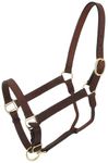 Tough 1 Royal King Leather Stable Halter, Brown