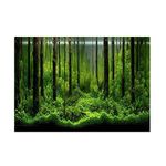 Fish Tank Poster, PVC Adhesive Trees Jungle Pattern Reptile Tank Terrarium Background Poster Reptile Tank Decoration(122 * 46cm)