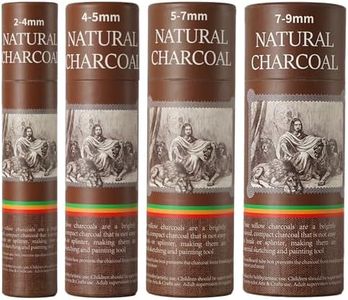 Trzzyan 100 PCS Willow Charcoal Sticks, Ideal for Artists, Beginners, Students, Perfect for Sketching, Drawing, Shading, and Fine Art, 5.7 Inches Long, 2-4*25,4-5*25,5-7*25,7-9*25 (2-4,4-5,5-7,7-9)