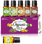 Parag Fragrances Organic 6in1 Essential Oils Set of (Basil, Bergamot, Orange, Cedarwood, Cinnamon & Ylang Ylang) Essential Oils