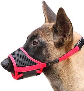 HEELE Dog 