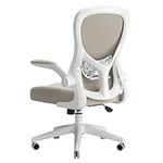 Hbada Ergonomic Desk Chair, Computer Office Chair with Flip-up Armrest&Lumbar Support, Adjustable Height, Grey