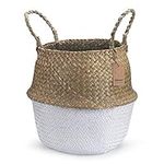 Seagrass Plant Basket with Handles,