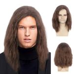 TSHAOUN Mens Brown Wig Mid Length Curly Hair, Mens Wig for Adult, 16 Inch/40 cm Pop Rocking Dude Wigs for Men, Handsome Mens Cosplay Wigs for 70s 80s Fancy Dress Daily Costume Party Halloween (Brown)