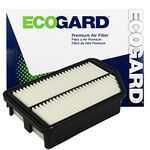 Ecogard XA6118 Air Filter