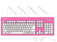 New 2018 104-Key Large Print USB Wired 7ft, Spill-Resistant, Hot Pink and White, Durable Keyboard for Laptop, Mac, TV, and Computer (Pink)