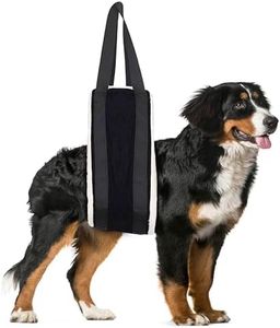 Dog Lift H