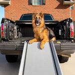 PetSafe Happy Ride Extra-long Telescoping Dog Ramp, Portable Pet Ramp, Great for Cars, Trucks and 4X4s, Durable Aluminium Frame Supports up to 140 kg, Side Rails and High-Traction Surface Design