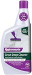 Rejuvenate Grout Deep Cleaner Clean
