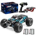 AUSLEE RC Cars 1:16 Scale Remote Co