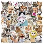 50 Pcs Funny Cat Waterproof Vinyl Stickers Cut Kitten Decals for Teacher Student Water Bottles Laptop Luggage Cup Computer Mobile Phone Skateboard