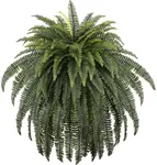 FOREST PRINCE 70" Ferns Artificial 