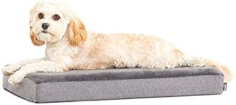 Barkbox Orthopedic Dog Bed | Comfor