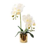 Artificial Orchid Flowers White Faux Orchids with Ceramic Vase Vivid Fake Phalaenopsis Flower Arrangement Gorgeous Artificial Plants for Office Desk Wedding Party Exhibition Center & Home Table Decor