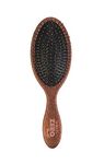 Roots - Zero Tangl Hair Brush for Women - Wet Hair Brush - Stylish Brush - Pack of 1