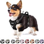 Eyein Dog Harness Small Dog, Anti P