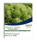 Pabhoi Greens Organic Seeds - Lettuce [ Desang ]