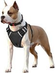 BABYLTRL Big Dog Harness No Pull Ad