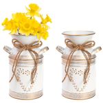 Hacaroa 2 Pack Metal Milk Can Rustic Galvanized Vase, 7.5 Inch Shabby Chic Can Jug with Handle, Primitive Decorative Flower Vase Mini Pitcher for Home, Living Room, Kitchen, Farmhouse Decoration