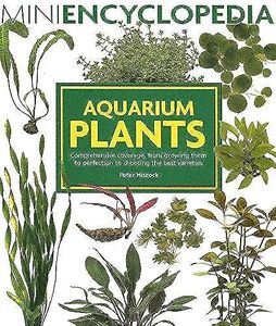 Aquarium Plants: Comprehensive Coverage, from Growing Them to Perfection to Choosing the Best Varieties.