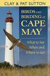 Birds and Birding at Cape May: What to See and When and Where to Go