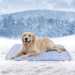 AUPETEK Dog Cooling Mat Non-Toxic S