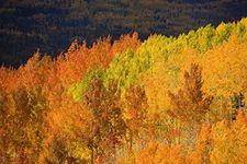 Colorado, Near Steamboat Springs, A