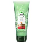 Herbal Essences PURE: Renew Colour Protection & Shine 6 Pack (6 x 180 ml) Sulphate Conditioner with Aloe Vera + Mango Conditioner, Sulphate Cruelty