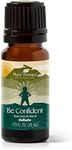 Plant Therapy Be Confident Essential Oil Blend 10 mL (1/3 oz) 100% Pure, Undiluted, Natural Aromatherapy