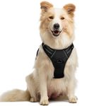 rabbitgoo Dog Harness Medium No Pull Pet Harness with 2 Leash Clips, Adjustable Soft Padded Pet Vest Harness, Reflective No-Choke with Easy Control Handle for Training or Walking, Black, M