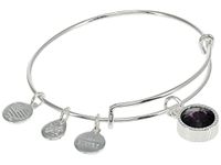 Alex and Ani Birthstones Expandable Bangle for Women, Birthday Crystal Charms, Shiny Finish, 2 to 3.5 in, One Size, Brass