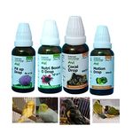 Aviterium Cocsi Drop Combo 4 Drop for Pet Birds, Parasites Disease, Diarrhea, Sukkha, Weight Loss, Keel Sharp Bone, Liver Problem, Seasonal Change for All Birds