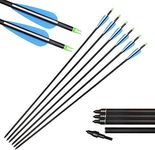 TOPARCHERY Archery 32 Inch Carbon Arrow Practice Hunting Arrows with Removable Tips for Compound & Recurve Bow(Pack of 12)