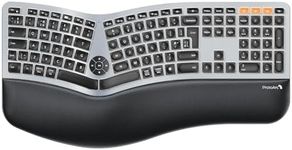 ProtoArc Backlit Wireless Ergonomic Keyboard, EK01 Plus Ergo Keyboard with Wrist Rest, Split Design, USB-C Charging, Bluetooth and USB, Natural Typing Compatible with Windows/Mac/Android