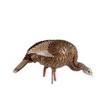 Avian-X HDR Feeding Hen Turkey Decoy | Durable Realistic Lifelike Standing Hunting Decoy with Carry Bag & Integrated Stake, AVX8107