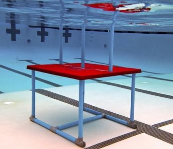 FINIS Swim Teaching Platform - Raised Fiberglass Deck for Swim Lessons - Non-Slip Surface - Hand Rails