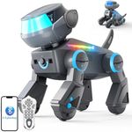 VATOS Kid Smart Robot Dog,Programma