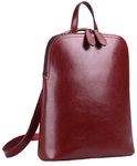 HESHE Women's Fashion Backpack Purse Multipurpose Design Convertible Satchel Handbags Shoulder Bag Travel bag, Wine, Medium, Traveling