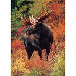 DIY 5D Diamond Painting by Numbers Kits, Moose Forest Deer Animal, Full Drill Rhinestones Paint with Diamonds Crystal Diamond Art (Moose)